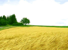 开云登录入口基地展示5