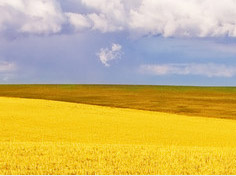 开云登录入口基地展示4